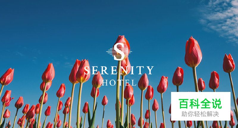 免费字体完成极简风logo模版