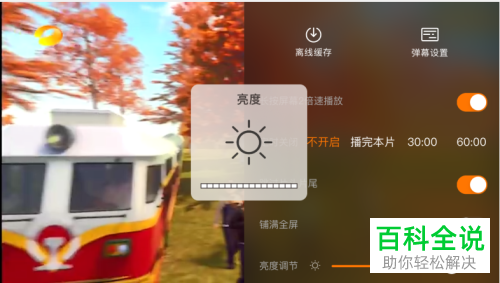 芒果TV APP中的屏幕亮度如何设置调节