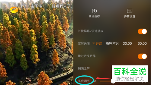 芒果TV APP中的屏幕亮度如何设置调节