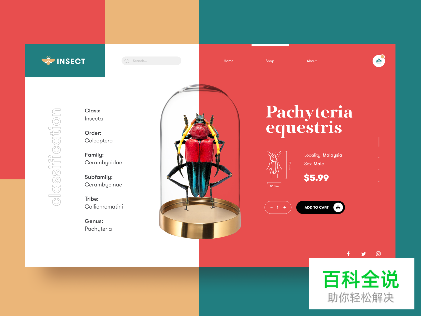 灵感专题—2019年优秀网页设计作品赏析#4月