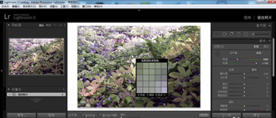 lightroom白平衡怎么调整?
