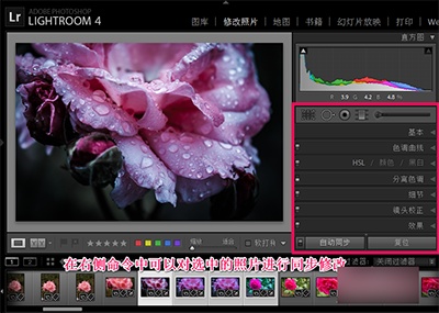 Lightroom怎么批量处理?