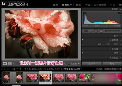 Lightroom怎么批量处理?