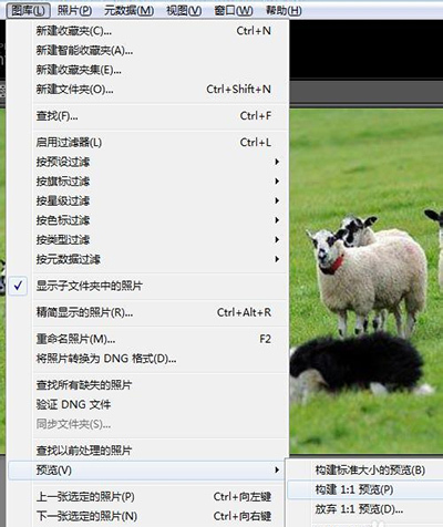 Lightroom打开图片很慢怎么办