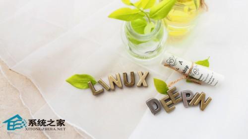 Linux系统中如何查看和修改DNS配置