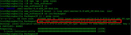 Linux系统是如何挂载iscsi存储的?