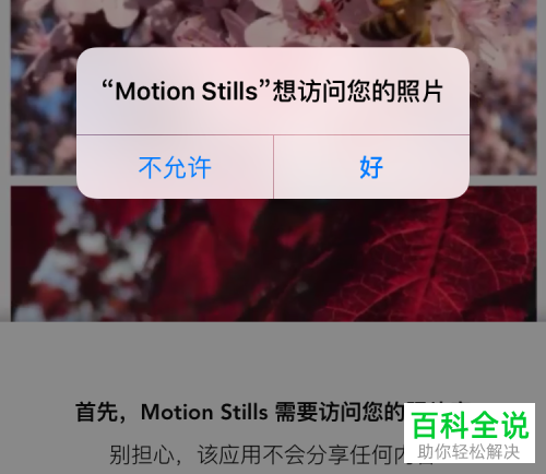 Live Photo转gif和视频的方法