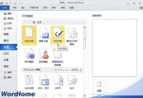 了解Word2010中的\
