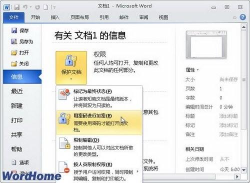 了解Word2010中的\