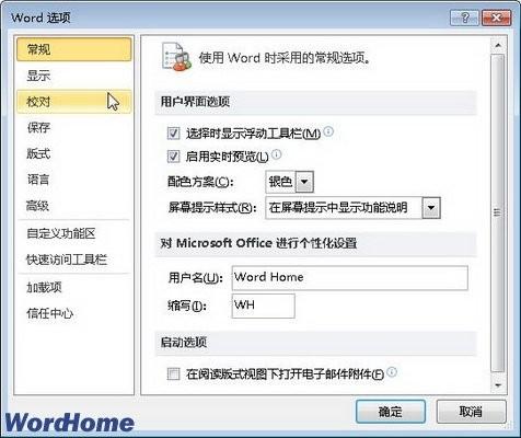 了解Word2010中的\