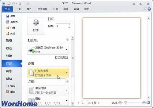 了解Word2010中的\