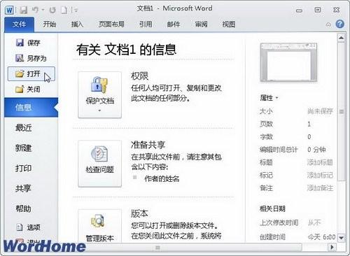 了解Word2010中的\