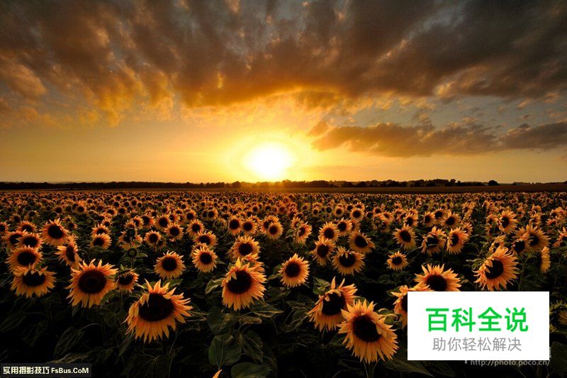 了解优秀作品的标准拍出好照片