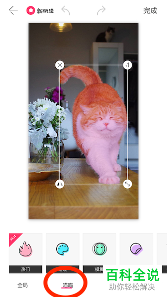马卡龙玩图app的使用编辑方法详解