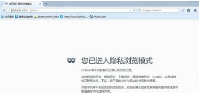 浏览器中如何设置隐私无痕浏览模式（含火狐和IE）