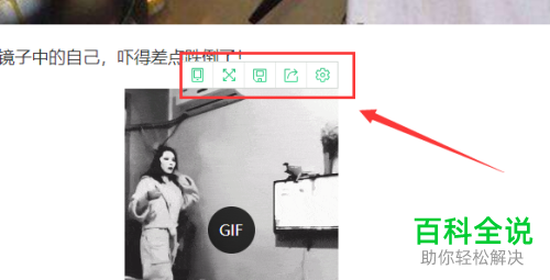 浏览器浏览网页时鼠标放置在图片上会出现对话框怎么办？