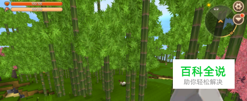 迷你世界竹笋怎么繁殖 迷你世界的竹笋怎么种