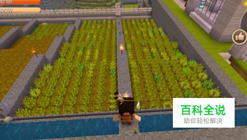 迷你世界怎样自动收麦子？