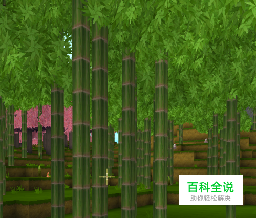 迷你世界竹子怎么找