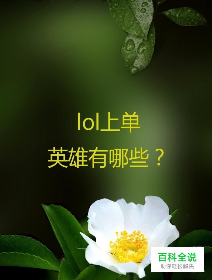 lol上单英雄有哪些？