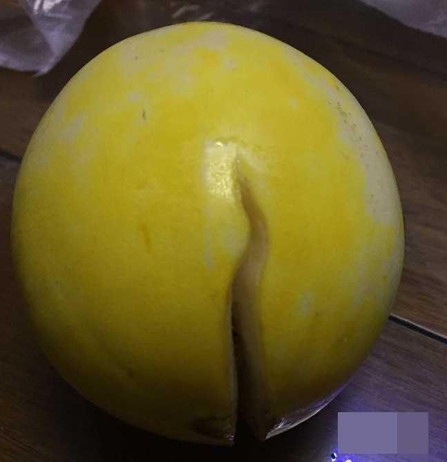 每日优鲜APP买到坏水果怎么办?每日优鲜买水果出问题申请退款的方法介绍