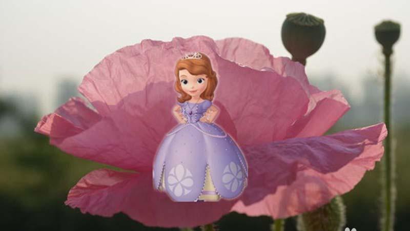 美图秀秀怎么合成花仙子效果图片?