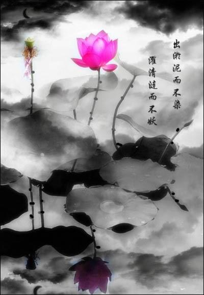 美图秀秀教你将荷花图片打造出水墨画风格效果