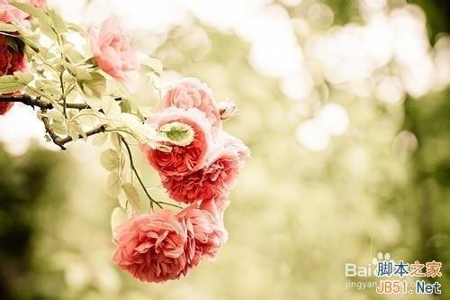 美图秀秀制作一张画中画镜像图