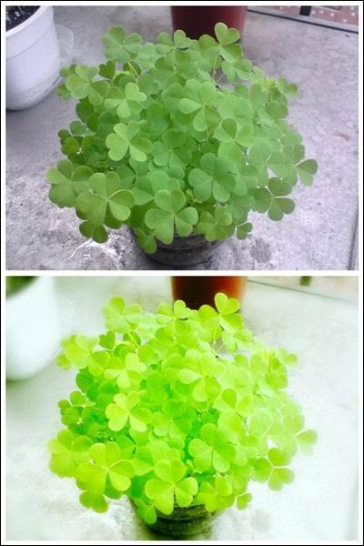 美图秀秀+美图贴贴打造多风格头像 增粉利器显神威