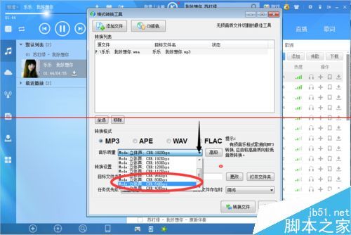 录音过大怎么分享
