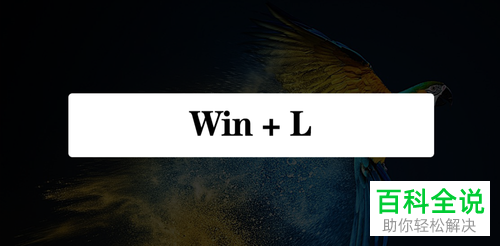 利用命令怎么修改电脑上用户的密码