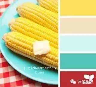 没有设计基础的新手如何做好PPT配色?