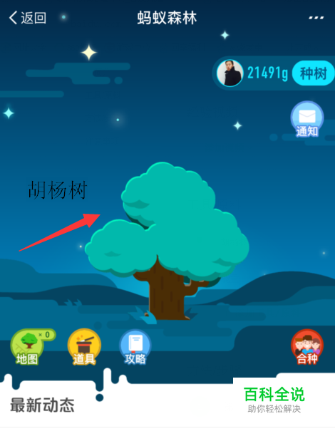 蚂蚁森林里的胡杨树需要多少能量才能长大？