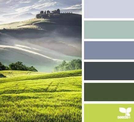 没有设计基础的新手如何做好PPT配色?