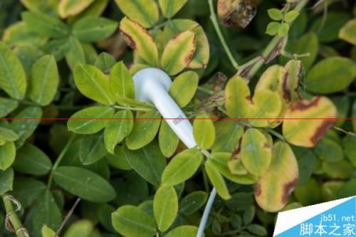 魅族耳机怎么样?魅族EP-21HD耳机音质评测