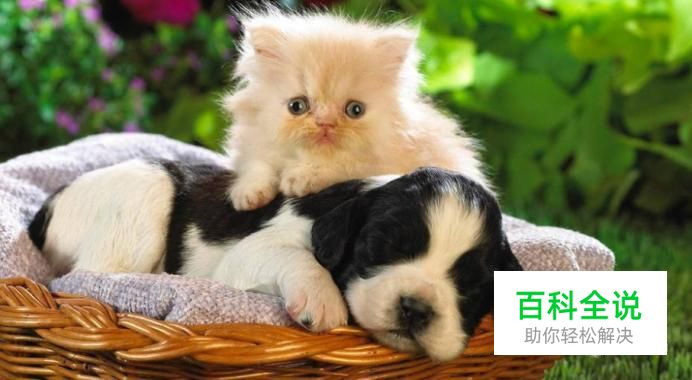 M4A格式怎么使用音频转换器转换成MP3？