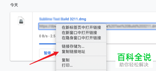 Mac电脑如何将浏览器下载链接粘贴到下载软件