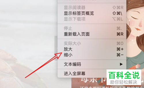 Mac苹果电脑的浏览器页面如何放大缩小