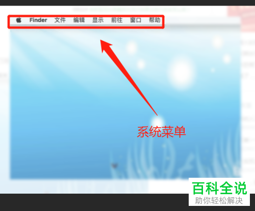 mac苹果电脑死机了如何将运行的程序关闭