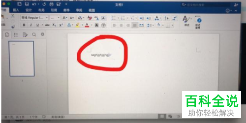Mac电脑如何切换中文输入法