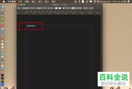 Mac电脑如何在文本编辑中插入分页