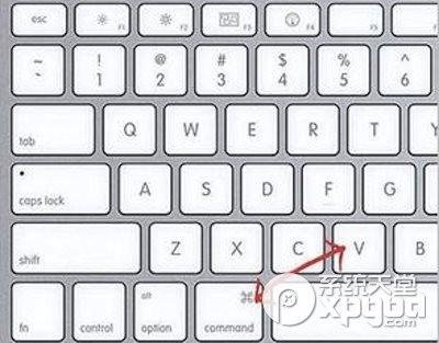 mac怎么复制黏贴?