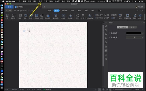 Mac WPS怎么给背景设置纹理图案