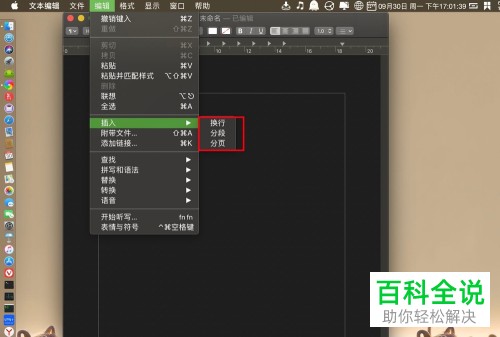 Mac电脑如何在文本编辑中插入分页