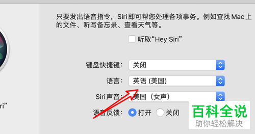 mac电脑怎么用英文与sifi对话
