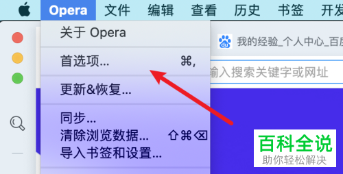 Mac电脑怎么启用Opera浏览器即时搜索功能