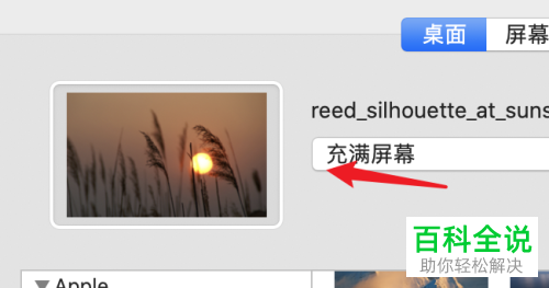 mac苹果电脑本地文件夹中的图片如何设置为背景