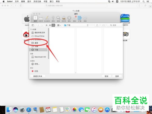 Mac电脑怎么设置Safari文件下载位置