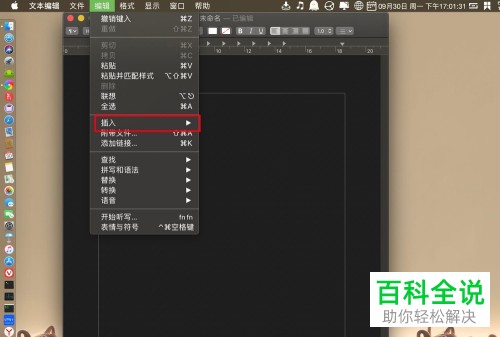 Mac电脑如何在文本编辑中插入分页