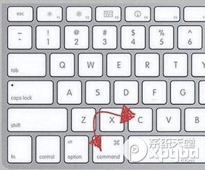 mac怎么复制黏贴?